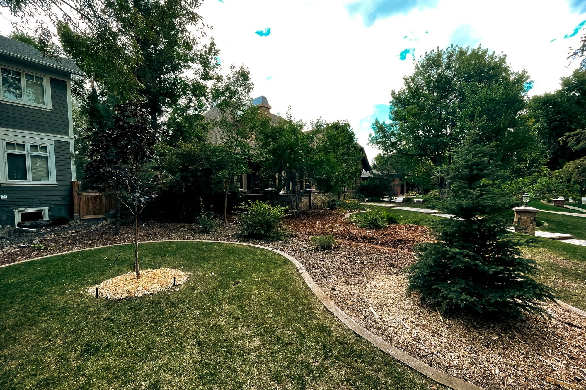 Planting and Establishment