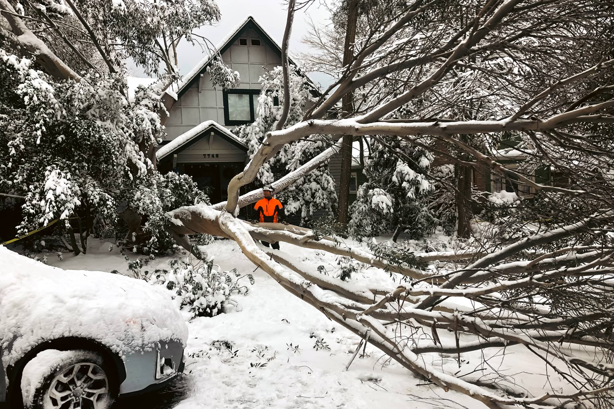 Storm Damage / Emergency Response
